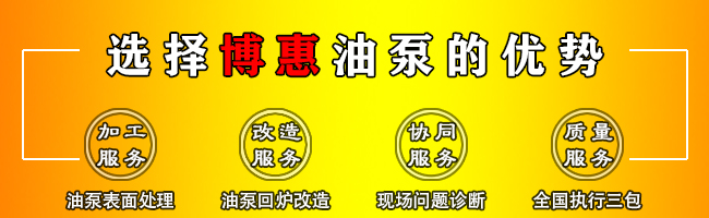 RCB系列瀝青齒輪泵(圖7) RCB系列瀝青齒輪泵(圖7)